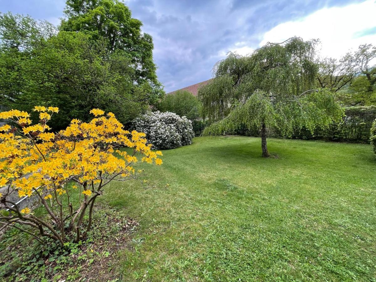 A L'Ombre Des Tilleuls Husseren-Wesserling Exterior foto
